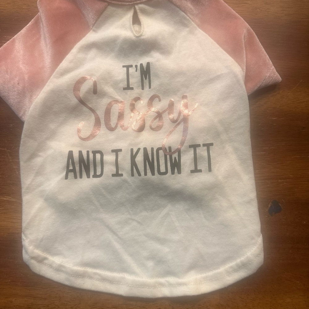 I'm Sassy Pink & White Graphic dog Tee